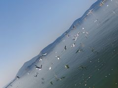 -蠡湖大桥公园