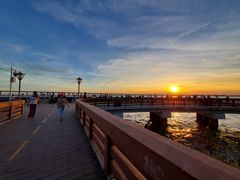 -宝安西湾红树林湿地公园