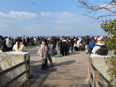 -千岛湖东南湖区