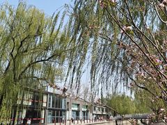 -元大都城垣遗址公园