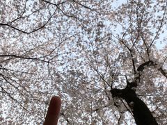 -苏州上方山国家森林公园