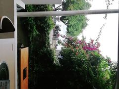 -大理老字号·舟渔的鱼野生菌海景餐厅(双廊店)
