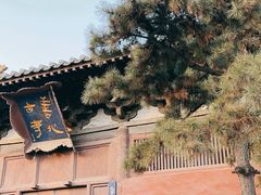 -善化寺