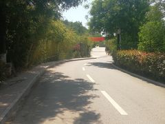 -渭南桃花源民俗文化园