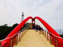 -金鸡山公园