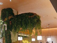 -阿露佳·舌尖上的安吉菜