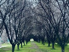 -西安外国语大学(长安校区)