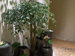 -汤臣海派理疗公馆