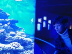 -大连圣亚海洋世界