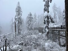 -瓦屋山景区