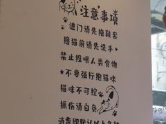-猫咪派对(江南西店)