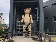 -济州岛泰迪熊博物馆