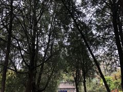 -泰山风景名胜区-普照寺