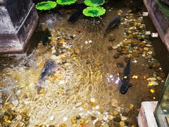 -李氏八大件老菜馆(万宝街店)