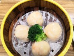 -粤港餐厅(禹州商业广场店)