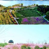 约~小伙伴来洈水之旅|途派连锁酒店