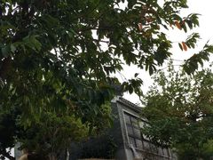 -广州神农草堂中医药博物馆