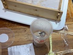 -八婆婆烧仙草(中山路店)