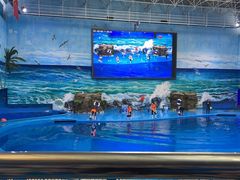 -多彩贵州城极地海洋世界