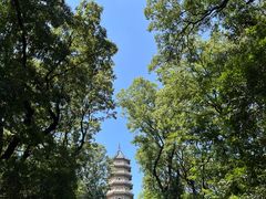 -灵谷景区