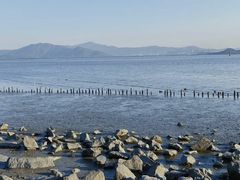 -深圳湾公园(南山区)