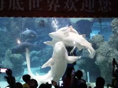 -左海海底世界
