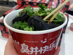 -黑色经典臭豆腐·湖南特产(步行街店)