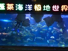 -蓬莱欧乐堡海洋极地世界