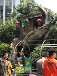 -可可天空农场(中大店)