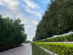 -宝安西湾红树林湿地公园