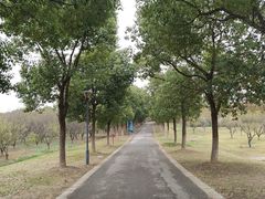 -南湖湿地公园