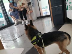 -爱侣宠医·鹦鹉专科·小型哺乳类·异宠专科(灵石路店)