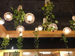 -柴务处·柴犬主题狗咖