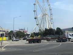 -墨尔本之星 观景摩天轮