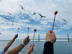 -星海湾跨海大桥