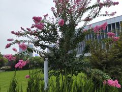 -天鹅湖体育公园