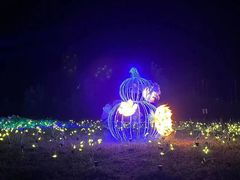 -北纬44度·金珠花海休闲农业旅游景区