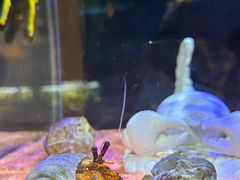 -海合安天津极地海洋公园