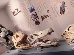 -自贡恐龙博物馆