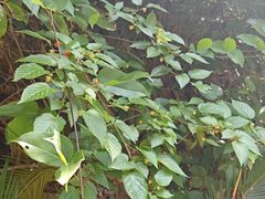 -新疆杭州疗养院·富春山庄