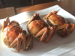-船歌鱼水饺(淄博万象汇店)