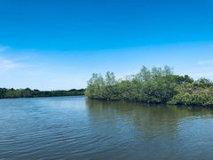 -东寨港红树林旅游区