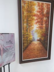 -薇兰专业脱毛连锁机构