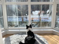 -两只老饕(银泰创意城店)