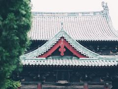 -真定郝家排骨(正定县总店)