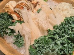 -蘑界·野生菌火锅(深业上城店)