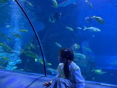 -太平洋海底世界