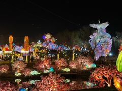 -淄博花灯齐彩城