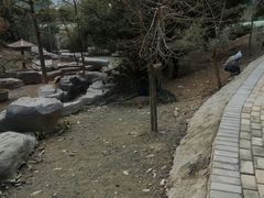 -泉州海丝野生动物世界