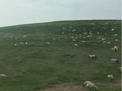 iphone_upload_pic-木兰围场